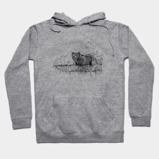 Grizzly Bear Ink Drawing Hoodie